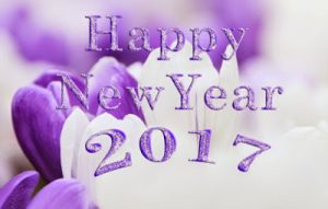 Happy new year2017 7 696x443 300x191 صور للعام الجديد  , اروع رمزيات راس السنة الميلادية , photos new years