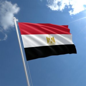 egypt flag std 300x300 صور علم مصر ام الدنيا, علم مصر بحجم كبير, photos egyptian flag