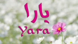 mqdefault 6 300x169 الصور اسم يارا عربي و انجليزي مزخرف , معنى اسم يارا وشعر وغلاف ورمزيات
