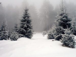 اجمل صور للشتاء 1 450x338 300x225 صور عن الشتاء , رمزيات شتوية جديدة جميلة