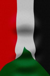 السودان 1 300x450 1 200x300 صور علم السودان , رمزيات علم السودان