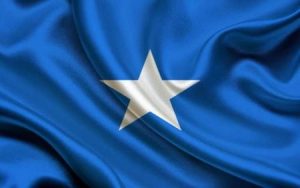 الوان علم الصومال 1 450x282 300x188 صور العلم الصومالي , رمزيات وخلفيات للعلم الصومالي