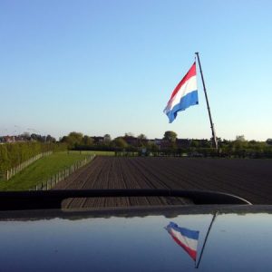 خلفيات علم هولندا 2 450x450 300x300 صور علم هولندا , خلفيات متنوعة للعلم الهولندي
