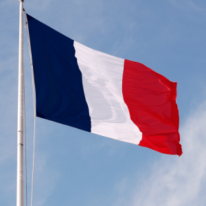 دولة فرنسا علم رمزيات وخلفيات 1 450x450 300x300 صور علم فرنسا جديده , رمزيات العلم الفرنسي