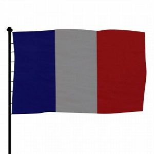 رمزيات علم فرنسا 1 450x450 300x300 صور علم فرنسا جديده , رمزيات العلم الفرنسي