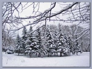 صور تعبر عن الشتاء 2 450x338 300x225 صور رمزيات عن الشتاء , اجمل خلفيات فصل الشتاء