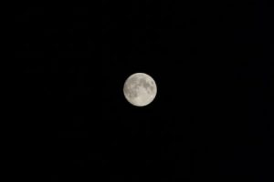صور خلفيات ليلية 4 450x300 300x200 صور ليلا في الليل , رمزيات لصورة القمر الجميل