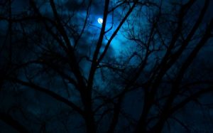 صور خلفيات ليلية جميلة ومميزة احلي صور خلفيات 3 450x281 300x187 صور ليلا في الليل , رمزيات لصورة القمر الجميل