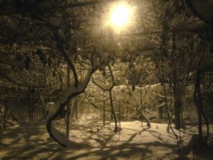 صور شتاء 2017 4 450x338 300x225 صور شتاء وثلوج , خلفيات طبيعية لمناطق غزيرة بالثلوج