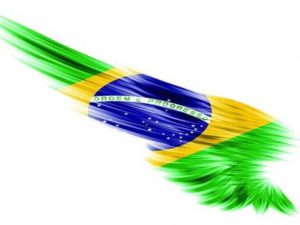 صور علم البرازيل 3 450x338 300x225 صور علم البرازيل , خلفيات ورمزيات علم البرازيل