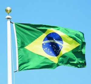 صور علم البرازيل 4 450x415 300x277 صور علم البرازيل , خلفيات ورمزيات علم البرازيل
