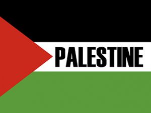 صور علم فلسطين رمزيات وخلفيات العلم الفلسطيني 3 300x225 صور رمزيات اعلام فلسطين , خلفيات العلم الفلسطيني