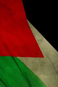 صور عن العلم الفلسطيني 1 300x450 200x300 صور رمزيات اعلام فلسطين , خلفيات العلم الفلسطيني