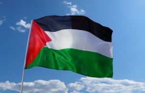 صور عن العلم الفلسطيني 2 450x288 300x192 صور رمزيات اعلام فلسطين , خلفيات العلم الفلسطيني