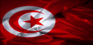 علم دولة تونس 1 450x219 300x146 صور رمزيات علم تونس , صور ورمزيات علم تونس