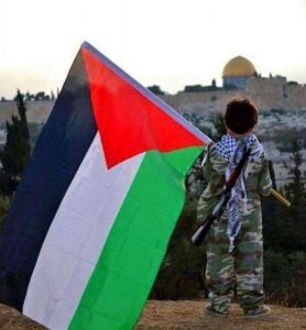 علم فلسطين17 555x600 278x300 صور علم فلسطين, خلفيات ورمزيات فلسطين, صور متحركة لعلم فلسطين, Palestine