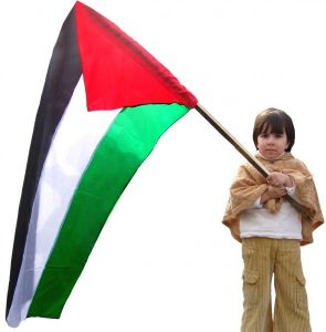 علم فلسطين3 590x600 295x300 صور علم فلسطين, خلفيات ورمزيات فلسطين, صور متحركة لعلم فلسطين, Palestine