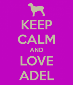 keep calm and love adel 3 386x450 257x300 صور اسم عادل , رمزيات مكتوب عليها اسم عادل