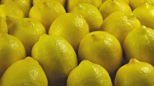 الليمون 1 450x253 300x169 صور ليمون بنزهير اضاليا , الليمون في صور للسلطات والاكلات البحرية