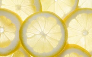 الليمون 5 450x281 300x187 صور ليمون بنزهير اضاليا , الليمون في صور للسلطات والاكلات البحرية