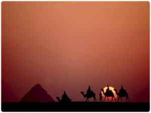 اماكن السياحة في مصر بالصور 6 450x338 300x225 صور ابو الهول في مصر , رمزيات عن الجمال في الاهرامات