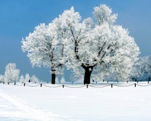 ثلوج 2 450x360 300x240 صور تعبر عن فصل الشتاء الجميل , خلفيات معبره عن الثلوج بجودة اتش دي