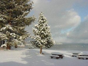 خلفيات تلج 1 450x337 300x225 صور تعبر عن فصل الشتاء الجميل , خلفيات معبره عن الثلوج بجودة اتش دي