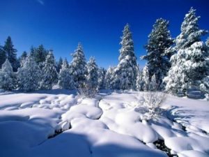 خلفيات ثلج 1 450x338 300x225 صور تعبر عن فصل الشتاء الجميل , خلفيات معبره عن الثلوج بجودة اتش دي