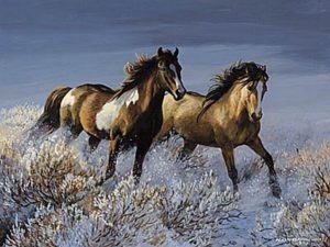 خيول 6 300x225 صور الخيول العربية الجميلة , صور خيل ابيض واسود جميل