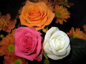 زهور روز وبمبي 1 300x225 صور بوكيهات ورد جميل , بوكيهات وروود قمة الروعة والجمال