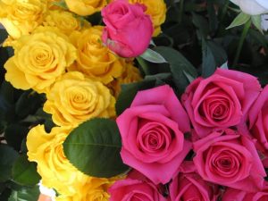 زهور روز وبمبي 2 300x225 صور بوكيهات ورد جميل , بوكيهات وروود قمة الروعة والجمال