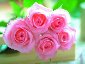 زهور روز وبمبي 6 300x225 صور بوكيهات ورد جميل , بوكيهات وروود قمة الروعة والجمال