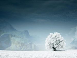 %name صور للثلوج الجميلة الممتعه  , رمزيات خلفيات طبيعية لفصل الشتاء