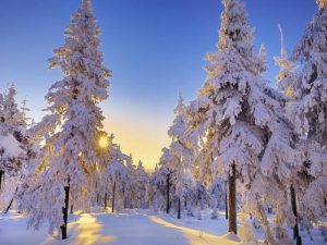 صور الشتاء 1 300x225 صور للثلوج الجميلة الممتعه  , رمزيات خلفيات طبيعية لفصل الشتاء