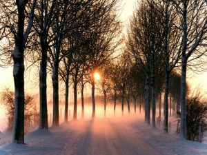 صور الشتاء 2 300x225 صور للثلوج الجميلة الممتعه  , رمزيات خلفيات طبيعية لفصل الشتاء