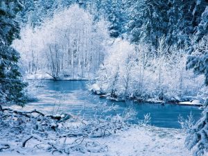 صور الشتاء 31 300x225 صور معبره عن الشتاء , خليفات جميلة تعبر عن فصل الشتاء