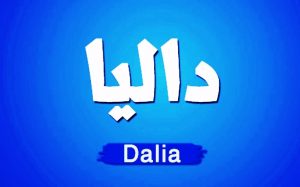 معنى اسم داليا وصفات حاملة اسم داليا Dalia 300x187 معنى اسم داليا وصفات حاملة اسم داليا Dalia
